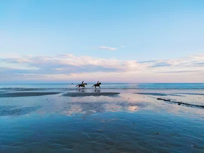 Image de Discothèque Le Garden