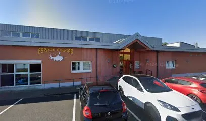 Image de espace cougar